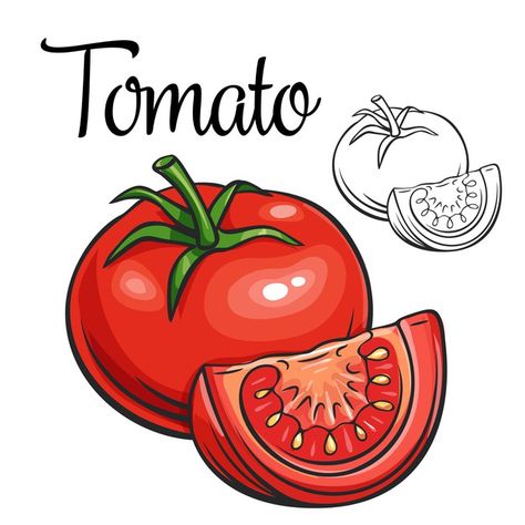 Tomato Vector, Tomato Drawing, Vegetable Drawing, Vegetable Cartoon, Recipe Drawing, Vegetable Illustration, Food Doodles, Pumpkin Vector, Fruits Drawing