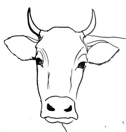 Bull face drawing Step By Step Cow Drawing, Symmetry Lesson, Drawing Cows, Cow Abstract, Cow Drawing, Cow Face, Drawing Face, Cow Pictures, Face Pattern