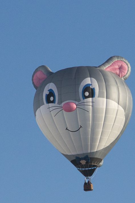 Albuquerque Balloon Fiesta, Air Ballons, Air Balloons, The Balloon, Hot Air Balloon, Air Balloon, Hot Air, Balloons, Quick Saves