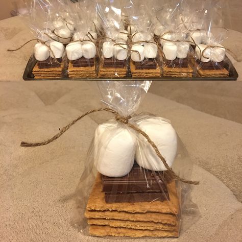 Smore Themed Party, Smores Goody Bag, Cabin Trip Gift Bags, Summer Camp Goodie Bags, Smore Goodie Bags, Individually Wrapped Smores, Smore Birthday Party Ideas, Smores Treat Bags, Camp Goodie Bags