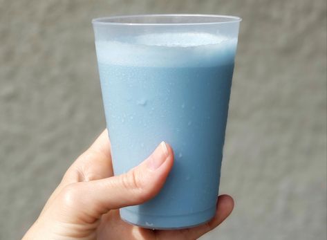 Blue Milk Copycat Recipe! – Vegan Options at Disneyland – Happiest Vegan on Earth Blue Milk Recipe, Vegan Copycat, Coconut Milk Drink, Plant Based Cookies, The Cheesecake Factory, Blue Food Coloring, Go Vegan, May The 4th, Fizzy Drink