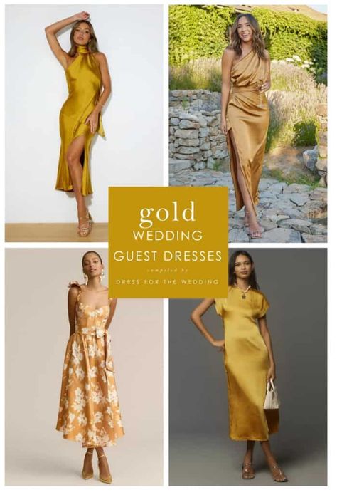 Collage of 4 gold dresses Gold Dresses For Wedding, Golden Dress Outfit, Wedding Cocktail Dresses, Gold Wedding Guest Dresses, Elegant Gold Dress, Dress For The Wedding, Golden Gown, Wedding Guest Dress Midi, Dresses For Wedding Guests