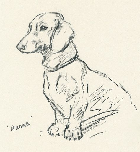 Dashund Dogs Drawing, Dashund Dog Aesthetic, Dachshund Drawings, Pencil Art Aesthetic, Dachshund Sketch, Dachshund Drawing, Doxie Art, Quilled Creations, Dachshund Art