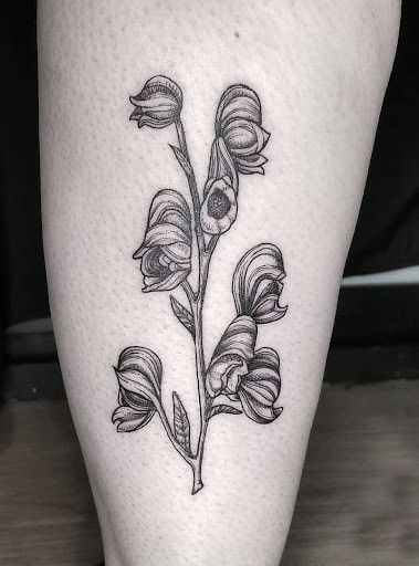 Wolfsbane Tattoo, Bouquet Tattoo, Flash Sheet, Floral Tattoo Sleeve, Plant Tattoo, Poisonous Plants, Tattoo Meaning, Floral Sleeve, Tattoo Placement