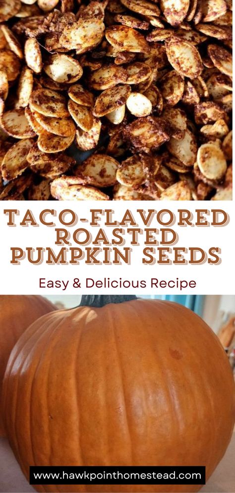 One of my favorite things about pumpkin carving and Fall is roasting the pumpkin seeds.

Enjoy these delicious crunchy pumpkin seeds with the wonderful taco flavor. Pumpkin seeds are a healthy and satisfying snack that are so easy to make!

Making pumpkin seeds is a fun activity to do with kids! Especially trying different flavors. Plus you can put those pumpkin seeds left over after carving your fall pumpkins to great use! Oven Roasted Pumpkin Seeds, Easy Pumpkin Seeds, Best Pumpkin Seed Recipe, Pumpkin Seed Recipes Roasted, Roasted Pumpkin Seeds Recipe, Spicy Roasted Pumpkin Seeds, Perfect Pumpkin Seeds, Roasted Squash Seeds, Homemade Pumpkin Seeds