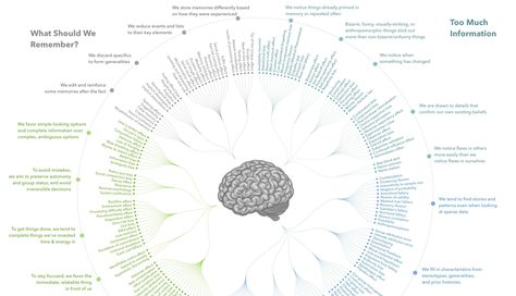 Here's all 188 cognitive biases in existence, grouped by how they impact our thoughts and actions. We also give some specific cognitive bias examples. Confirmation Bias, Behavioral Economics, Cognitive Bias, Cognitive Science, Social Influence, Information Processing, Human Brain, Famous Books, Entrepreneur Success