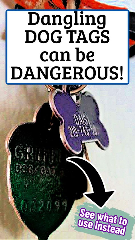 Yes, dangling dog tags can pose a danger. (Dog collars with chain loops as well.) See the close calls that I've personally had with 2 different types of dog collars. Plus, a list of all the reasons you should just say no to dangling dog tags and choose flat dog collar tags instead. #dogsafety #dogcollars #dogtags Dog Tag Ideas, Danger Dog, Close Calls, Different Types Of Dogs, Dog Collar Tag, Colorful Hairstyles, Dog Gadgets, Diy Dog Collar, Collars Diy