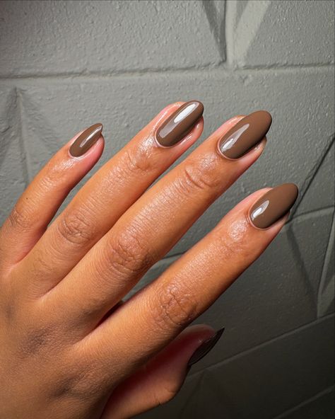 Brown nail polish is ✨THAT GIRL✨ it dominates in the fall, but you can catch me with brown nails in any season tbh! . Shade name: Chocolate @ilnp campground fall collection *pr [available on their website] . . . #nails #nailsofinstagram #nailsdaily #nailsnailsnails #diynails #ilnp #pr #brownnails #brown #nailpolish Brown Oval Nails, Brown Nail Polish, Brown Nail, Mocha Chocolate, Espresso Brown, Oval Nails, Brown Nails, Fall Collection, Fall Collections