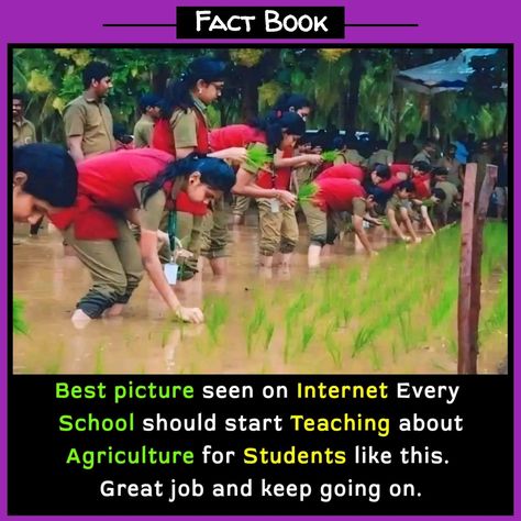 Agriculture Students, Keep Going, Agriculture, Growing Up, Cool Pictures, Memes, Books, Nature