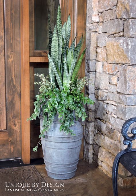 Fall Container Plants, Fall Container Gardens, Container Garden Design, Potted Plants Outdoor, Container Gardening Flowers, Garden Containers, Succulent Arrangements, Container Flowers, Deco Floral