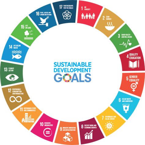 Sustainable Goals, Sustainable Development Projects, Youth Work, Integrated Learning, Un Sustainable Development Goals, Water And Sanitation, Sustainable City, Powerpoint Design Templates, Research Skills