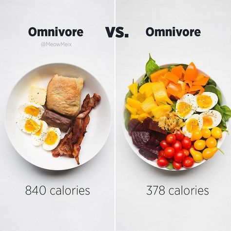 Omnivore Diet, Resep Diet, Food Swap, Adobo, Diet Meal Plans, Vegan Diet, Bagels, Marinara, Healthy Lunch