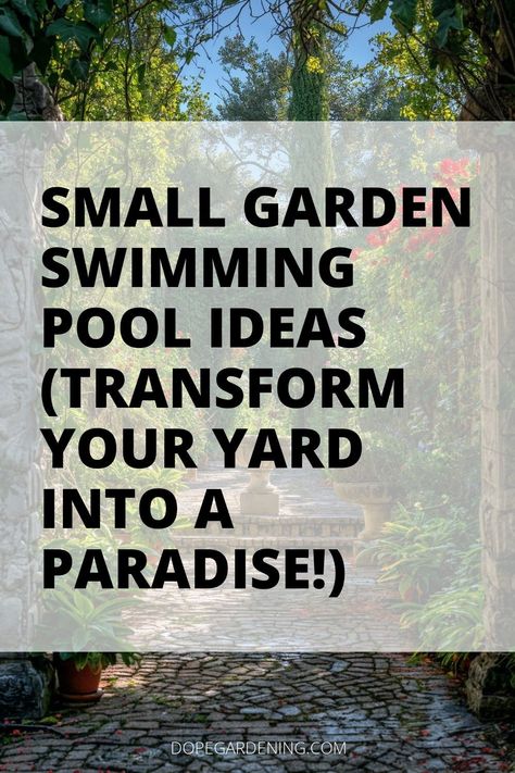 [CommissionsEarned] Discover Enchanting Small Garden Swimming Pool Ideas To Transform Your Backyard Into A Relaxing Oasis! Explore Compact Designs, Including Above-Ground And Space-Saving Mini Pools, Perfect For Urban Gardens. Dive Into Creating Your Own Backyard Retreat With Plunge Pools And Stylish Pool Landscaping That Elevate Your Garden Aesthetics. Incorporate Water Features To Enhance The Ambiance Of Your Outdoor Space. Click Now For Tips On Designing A #smallswimmingpoolsbackyardlandscaping Swimming Pools Backyard Landscape, Creative Gardening Ideas, Mini Swimming Pool, Swimming Pool Ideas, Garden Aesthetics, Pools For Small Yards, Plunge Pools, Pool Shapes, Urban Gardens