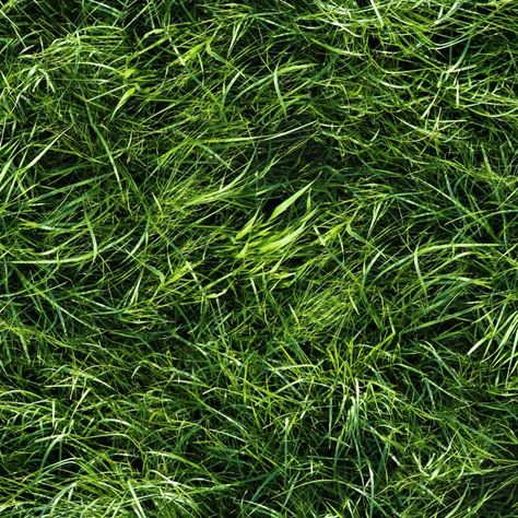 Textures   -   NATURE ELEMENTS   -   VEGETATION   -   Green grass  - Green grass texture seamless 13046 - HR Full resolution preview demo Cut Out Photoshop, Grass Texture Seamless, Green Grass Texture, Pet Center, Grass Texture, Blue Sky Photography, Nature Elements, Fresh Cut Grass, Bakery Branding