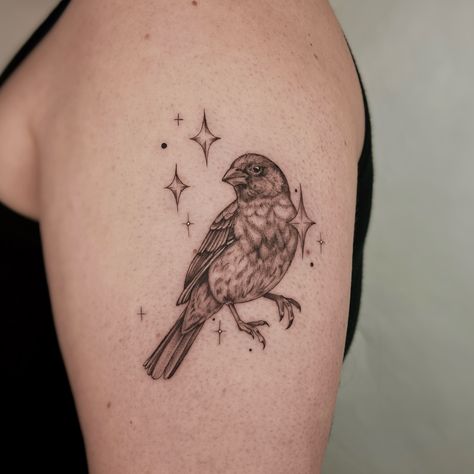 •house finch• Birds are one of my favorite subjects to tattoo ✨ often referencing their symbolism to the world beyond, and serving as reminders of our greater connectedness 🍂my fall books are open, currently accepting custom proposals and posting flash frequently - links in bio - #nyctattoo#femaletattooartist#birdtattoo#finelinetattoo#realism#blackandgreytattoo House Finch Tattoo, Finch Tattoo, Chickadee Tattoo, Brown Birds, Fall Books, House Finch, Nyc Tattoo, Finches Bird, My Favourite Subject