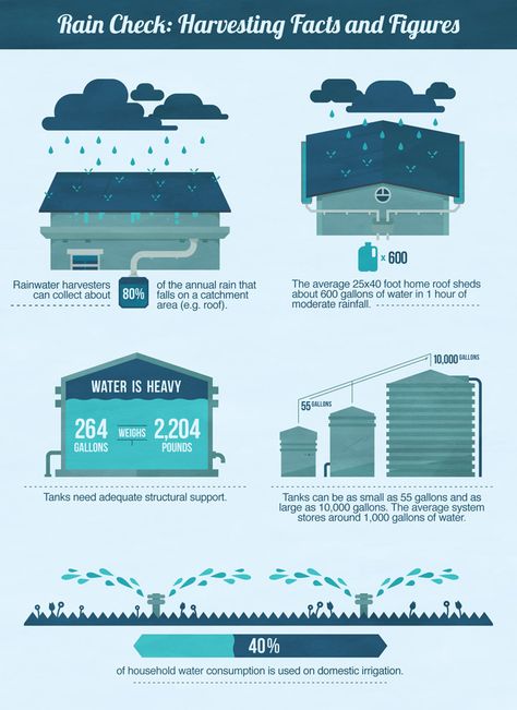 Rain Harvesting, Water From Air, Rainwater Harvesting System, Pub Set, Rainwater Harvesting, Water Collection, Gallon Of Water, Rain Barrel, Rain Water Collection