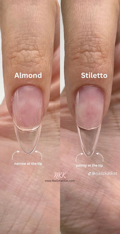 Nail Type Shape, Nail Anatomy Diagram, Nails Forms Shape, Nail Forms Shape, How To Shape Nails Step By Step, Nail Inspo For School, Nails Form, Nail Shape Chart, Types Of Nails Shapes