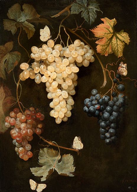 ‘Grapes and Butterflies’ (before 1747) by Philipp Ferdinand de Hamilton Juman Malouf, Hamilton Painting, Art Du Vin, Grape Painting, Dutch Still Life, Fruit Painting, Grape Bunch, National Gallery Of Art, Wes Anderson