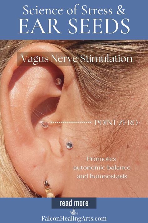 Pressure Points For Vertigo, Accupressure Point Ear, Ear Seeds Acupressure, Ear Pressure Points, Accupressure Point For Spleen, Eastern Healing, Ear Acupressure Points, Ear Acupressure, Asthma Acupressure Points