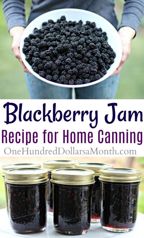 Blackberry Recipe, Water Canning, Canning Blackberries, Attainable Sustainable, Blackberry Jam Recipes, Canning Jam Recipes, Preserving Recipes, Easy Canning, Canning 101