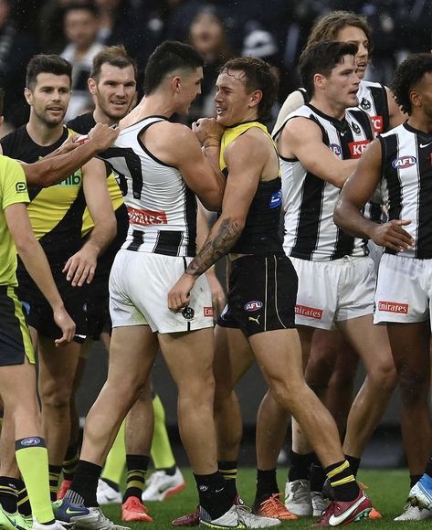 Brayden Maynard Collingwood, Brayden Maynard, Richmond Afl, Nick Daicos, Afl Players, Collingwood Magpies, Collingwood Football Club, Football Club, Rugby