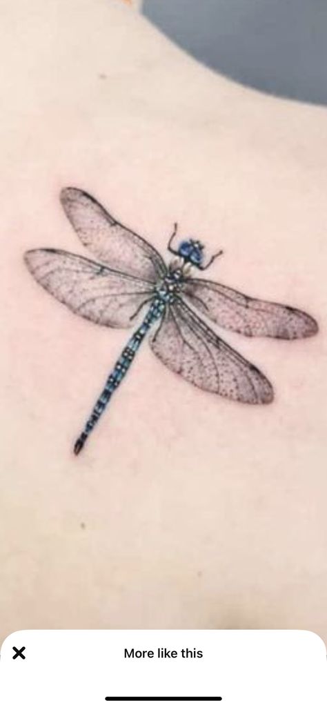 Blue Dragon Fly Tattoo, Colored Dragonfly Tattoo, Dragon Fly Tattoo For Women, Blue Dragonfly Tattoo, Mor Tattoo, Peacock Tattoo Sleeve, Fly Tattoos, Pictures Of Tattoos, Dragonfly Tattoos