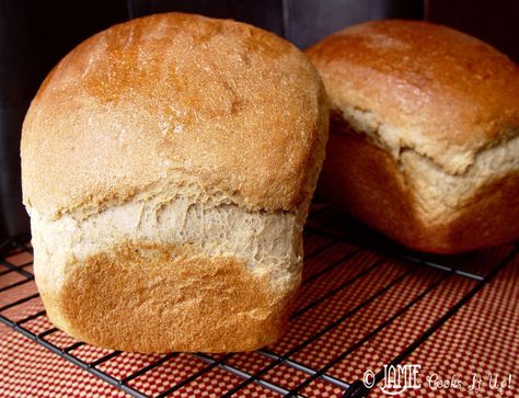 Soup Meatball, Homemade Whole Wheat Bread, Crispy Cheddar Chicken, Meatball Marinara, Beef Enchilada, Wheat Bread Recipe, Loaves Of Bread, Chicken Ham, Pork Sandwiches