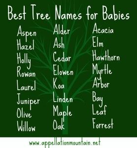 Has anyone actually named their child Forrest? Do you not anticipate obligatory lifelong Gump references? Elemental Names, Tree Names, Names For Babies, W Names, Tree Name, Names Girl, Fantasy Names, Baby Name List, Aesthetic Names