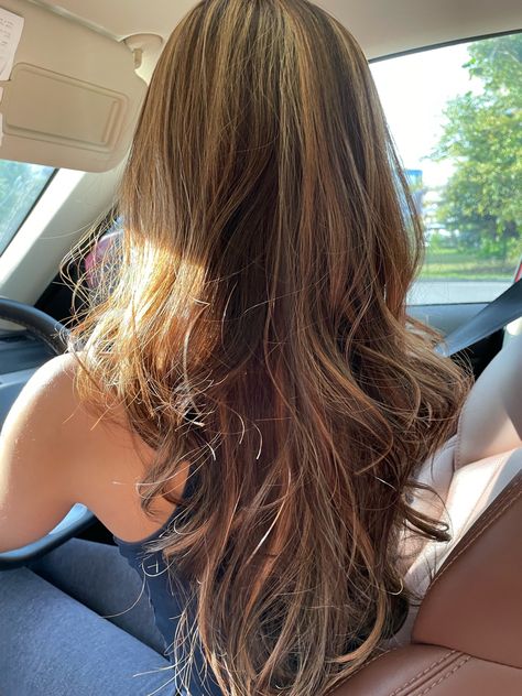 Long Hair Layers With Highlights, Long Layered Hair Balayage, Baby Caramel Highlights, Dark Brown Hair With Lighter Highlights, Highlights Brown Hair Long, Carmel Highlights On Brown Hair Chunky, Beachy Highlights Brown Hair, Warm Tone Highlights, Chocolate Light Brown Hair