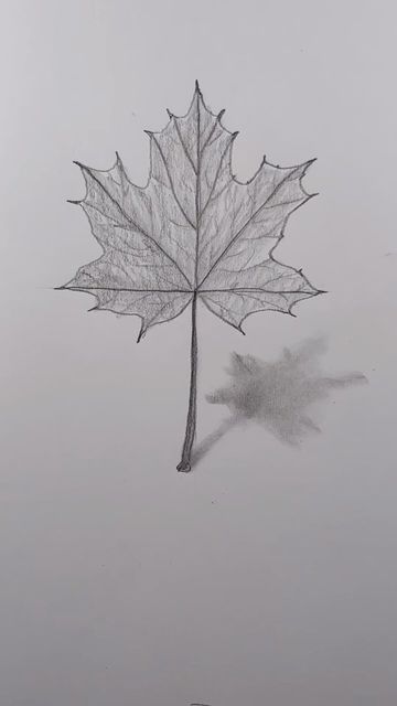 Realistic Leaf Drawing, Drawing Realistic, Drawing Lesson, Leaf Drawing, Easy Drawing, Maple Leaf, To Draw, Drawings, Quick Saves