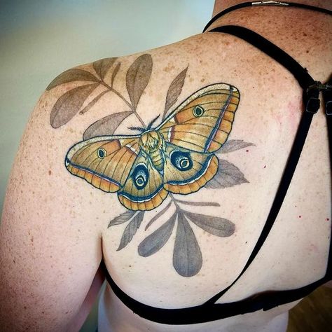 Native Shoulder Tattoo, Luna Moth Shoulder Tattoo, Botanical Moth Tattoo, Polyphemus Moth Tattoos, Moth Shoulder Tattoo, Colorful Moth Tattoo, Vintage Botanical Tattoo, Polyphemus Moth, Traditional Moth Tattoo