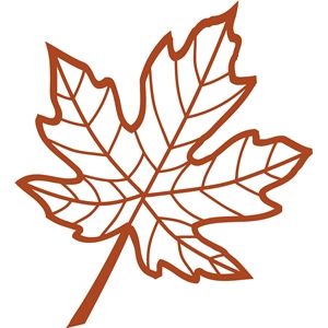 Silhouette Design Store - View Design #13726: veined maple leaf Maple Leaf Stencil, Silhouette Online Store, Leaf Stencil, Leaf Template, 3d Pen, Stencil Patterns, Scroll Saw Patterns, Silhouette Design Store, Leaf Art