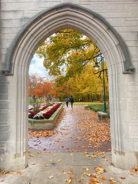 Iu Bloomington Aesthetic, Indiana University Graduation, Indiana University Wallpaper, Indiana University Dorm, Indiana University Painting, Indiana University Aesthetic, Indiana Bloomington University, Iu Bloomington, Indiana State University