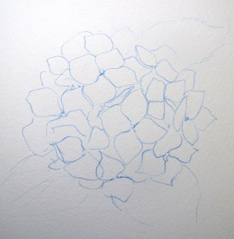 Step-by-Step Watercolor: How to Paint a Blue Hydrangea - Leslie Fehling - Everyday Artist Painting Step By Step, Watercolor Hydrangea, Hydrangea Painting, Step By Step Watercolor, Watercolor Lessons, Watercolor Projects, Watercolor Painting Techniques, Watercolor Paintings Tutorials, Diy Watercolor