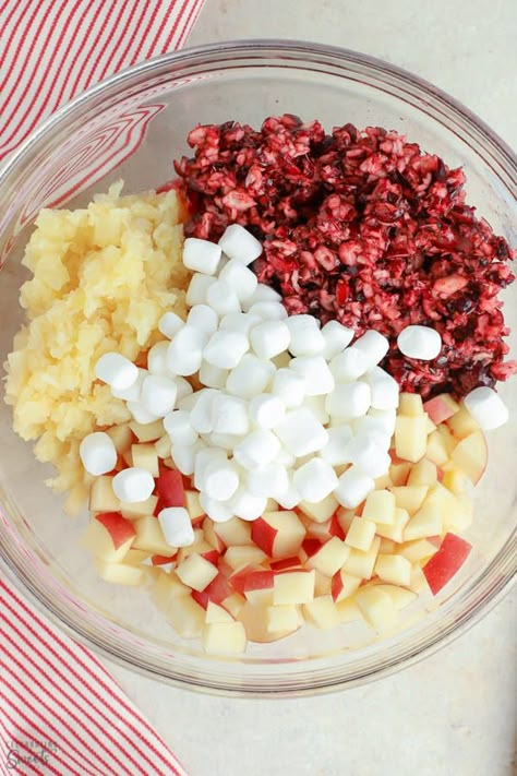 Creamy Cranberry Salad made with fruit and marshmallows tossed with freshly whipped cream. #fruitsalad #cranberrysalad #ambrosia #holidayrecipes Cranberry Pecan Salad, Cranberry Salads, Cranberry Sauce Recipes, Fluff Salads, Cranberry Salad Recipes, Cranberry Fluff, Celebrating Sweets, Ambrosia Fruit Salad, Creamy Fruit Salads