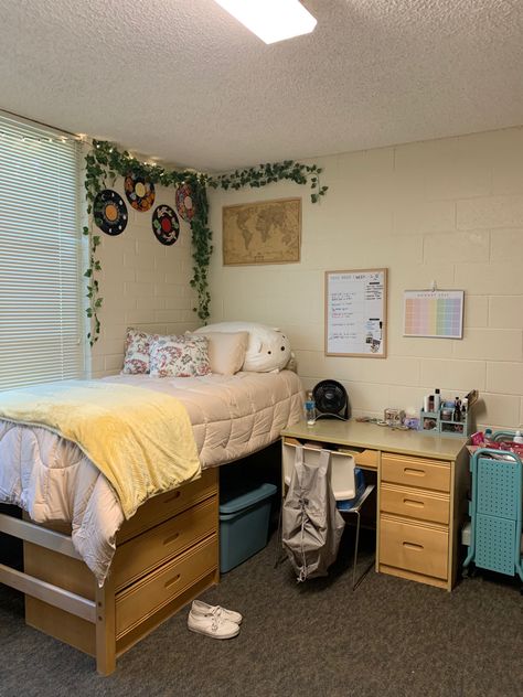 Dorm Decor Brown University Dorm, Uni Prep, Dorm Shelves, Dorm Pictures, Biola University, College Dorm Room Inspiration, University Dorm, Senior Szn, Dorm Style