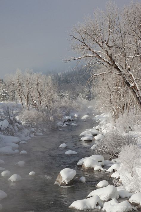 "Snowy Truckee River 1" - This foggy and snowy scene of the Truckee River was photographed in Downtown Truckee, CA. Scott Thompson, Truckee River, Shots Photography, Snowy Scene, Picture Places, Portfolio Images, Mountain Vacations, Best Image, Winter Scenery