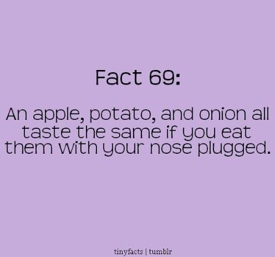 Apple And Onion, Odd Facts, Math Preschool, Physiological Facts, Fun Facts For Kids, Little Do You Know, Strange Facts, Fact Of The Day, Divorce Humor