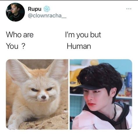 Yang Jeongin Meme, Funny Jeongin, Kpop Origami, Stray Kids Meme Funny, Kpop Funny Memes, Jeongin Funny, Hyunlix Kiss, Funny Stray Kids, Kpop Kiss