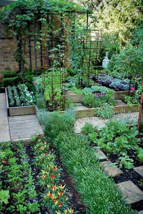 potager Potager Garden, Veg Garden, The Secret Garden, Vegetable Garden Design, Plants And Flowers, Garden Bed, Garden Structures, Garden Layout, Veggie Garden