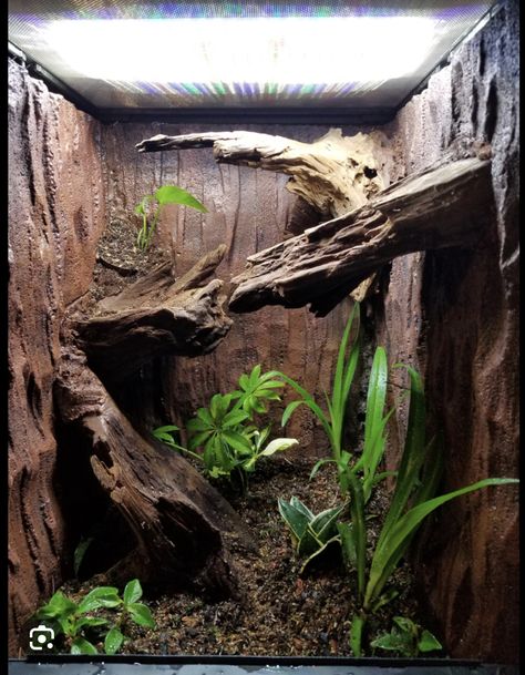 Reptile Terrarium Ideas Unique, Bioactive Reptile Enclosure, Carpet Chameleon, Crested Gecko Terrarium, Landscape Terrarium, Crested Gecko Habitat, Dart Frog Terrarium, Bioactive Terrarium, Gecko Vivarium