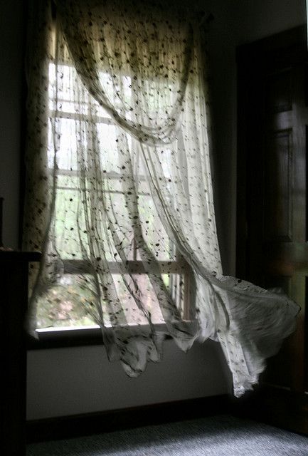 . Looking Out The Window, Beautiful Windows, Window Dressings, Cabin In The Woods, Lace Curtains, Window View, Open Window, Through The Window, Summer Breeze