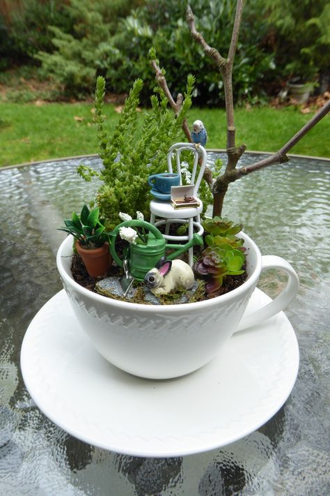 Tea Cup Fairy Garden, Garden Ideas Plants, Fairy Teacup Garden, Fairy Teacup, Tea Cup Planter, Teacup Art, Greenery Garden, Floating Tea Cup, Teapot Decor