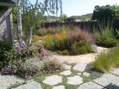 Heather Gardens, Native Plant Landscape, California Native Garden, Spring Walk, Native Designs, Australian Native Garden, Shade Garden Plants, Wildlife Garden, Exterior Inspiration