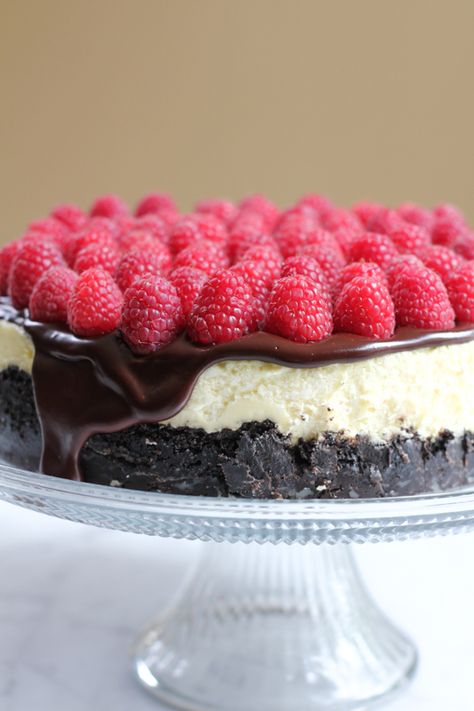 Rich, raspberry cheesecake with Oreo cookie crust and topped with a delicious chocolate ganache and topped with fresh raspberries. Doesn't get any better than this! #cheesecake Cheesecake With Oreo Crust, Oreo Crust Cheesecake, Oreo Cookie Crust, Brownie Desserts, Oreo Crust, Oreo Dessert, Oreo Cookie, Raspberry Cheesecake, Cookie Crust