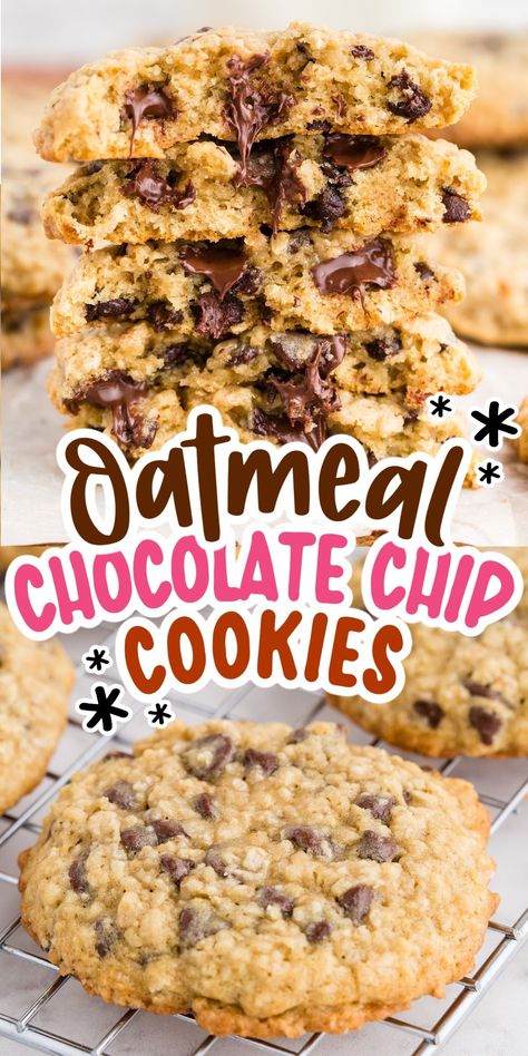 Oatmeal Chocolate Chip Cookies are chewy on the inside, crunchy on the outside, and loaded with gooey chocolate chips! Enjoy these cookies with a glass of milk as a breakfast treat or snack. Chewy Chocolate Oatmeal Cookies, Cookies With Chocolate Chips Recipes, Chocolate Chop Cookies, Oatmeal Dark Chocolate Chip Cookies, Chocolate Chip Cookies With Oatmeal, Oatmeal Cinnamon Chip Cookies, Oatmeal And Chocolate Chip Cookies, Oatmeal Walnut Chocolate Chip Cookies, Oatmeal Chocolate Chip Cookie Recipe Chewy