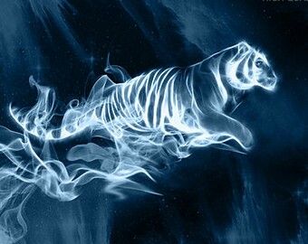 Tigre dos efeitos especiais American Hogwarts, Wolf Patronus, Patronus Art, Shifting Hogwarts, Hery Potter, Hogwarts Student, Hp Characters, Chinese Zodiac Tiger, Harry Potter Oc