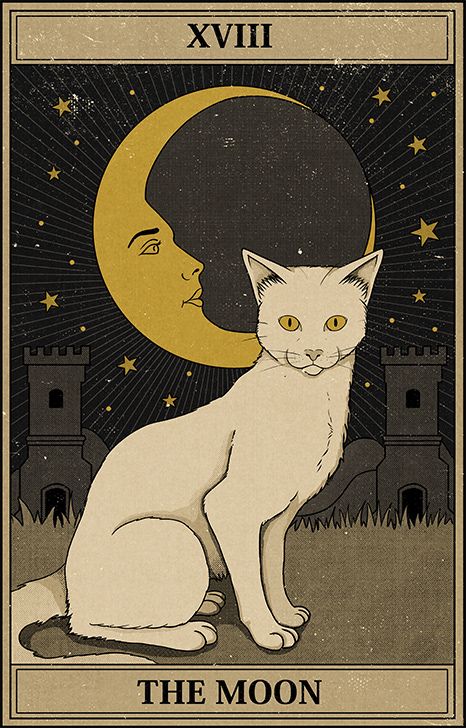 Collage Des Photos, Vintage Tarot, Collage Mural, Cat Vintage, رعب نفسي, 카드 디자인, Tarot Cards Art, Picture Collage Wall, Tarot Art