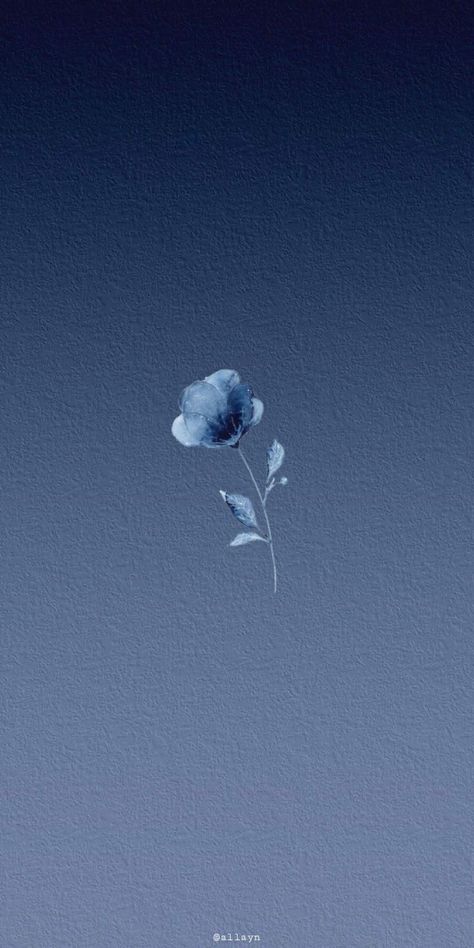 Wallpaper Plant, Blue Grey Wallpaper, Blue Flowers Background, Blue Aesthetic Wallpaper, Blue And White Wallpaper, Baby Blue Wallpaper, Indigo Wallpaper, Blue Background Wallpapers, Blue Butterfly Wallpaper