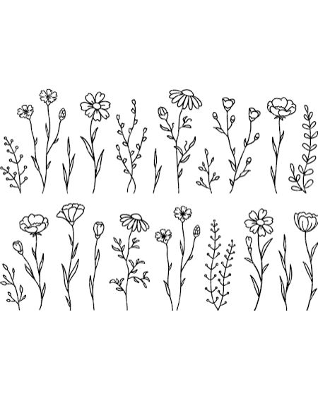 How To Draw Dainty Flowers, Floral Clipart Black And White, Simple Drawing Of Flowers, Wild Flower Doodles, Wild Flowers Drawing Sketch, How To Draw Simple Flowers, Simple Flowers To Draw, Cute Simple Flower Drawing, Basic Flower Drawing